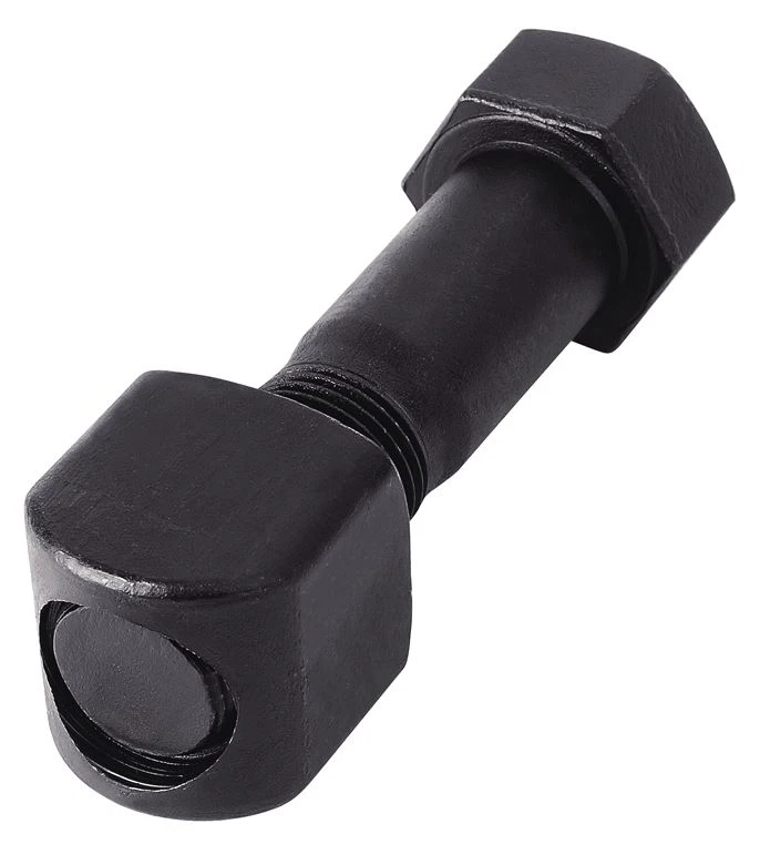 bolt nut 1