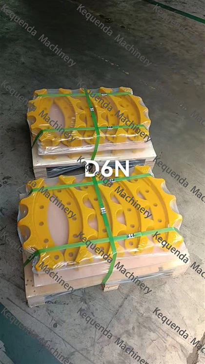 D6N segment